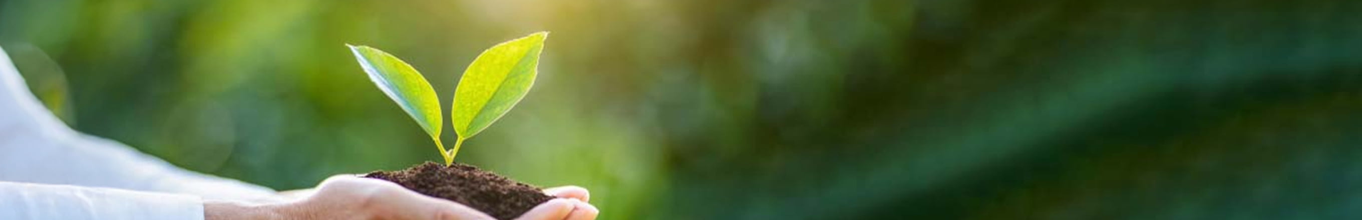 当NPO法人についてのメイン画像